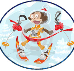 Прикольная обезьяна 2016 на лыжах