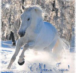 Фото с лошадью на Новый год