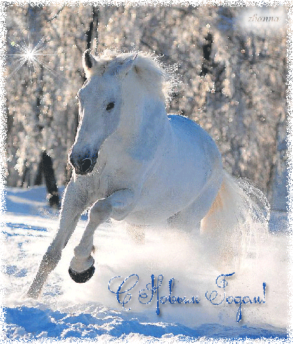 Фото с лошадью на Новый год Год лошади