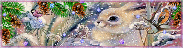 Заяц в зимнем лесу Картинки зима