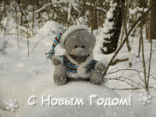 Новогодняя зимняя фотография Картинки зима