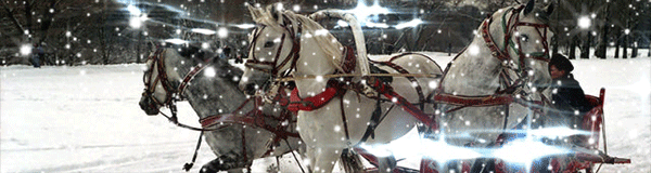 Тройка белых лошадей Картинки зима
