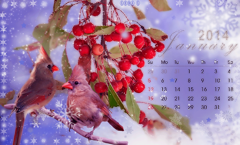 Календарь на январь месяц 2014 года Новогодний календарь