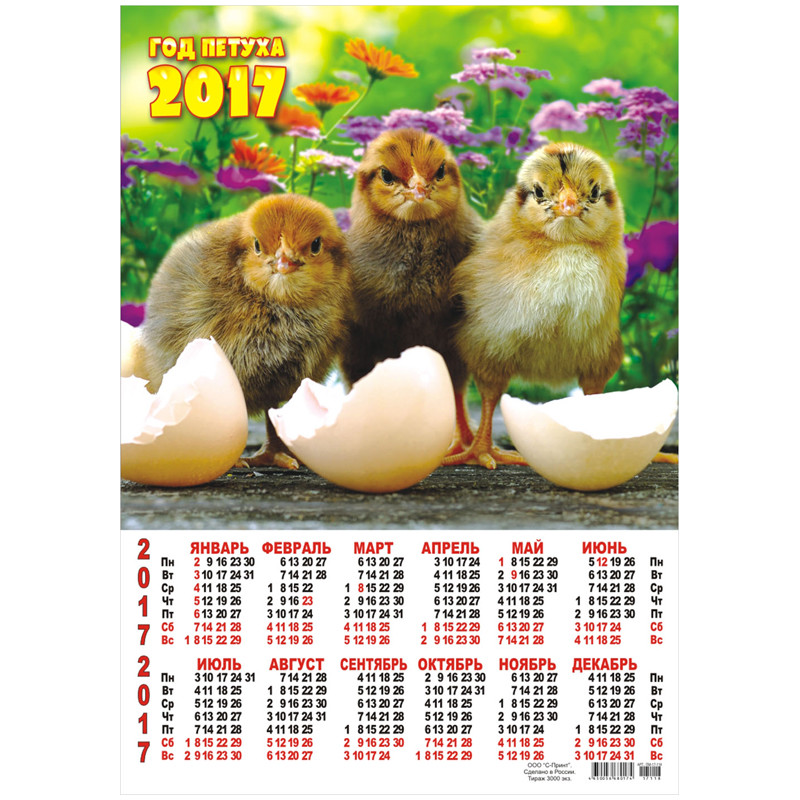 Календарь с цыплятами 2017 Новогодний календарь