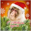 Аватар с обезьяной на Новый год