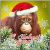 Новогодний аватар с обезьяной