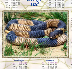 Обои 2013 год змеи календарь