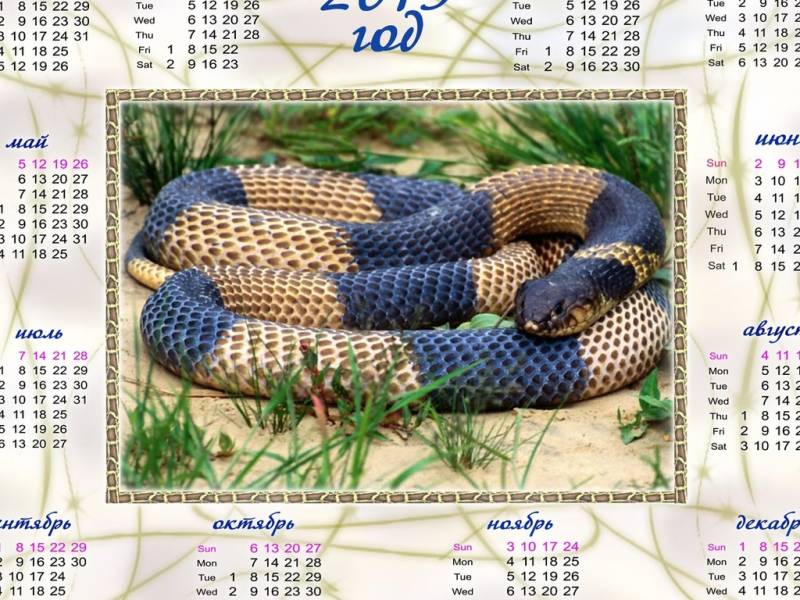 Обои 2013 год змеи календарь Новогодние обои на рабочий стол