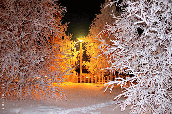 Зимний вечер Зима
