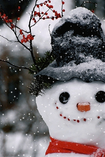 Фотография снеговика Зима