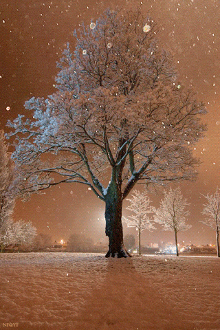 Красивый зимний вечер Зима