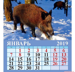 Календарь на январь 2019 год Кабана