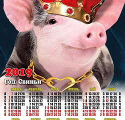 Новогодний календарь с годом свиньи