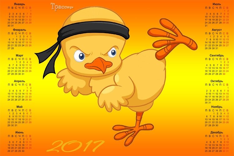 Прикольный календарь с цыплёнком Новогодний календарь