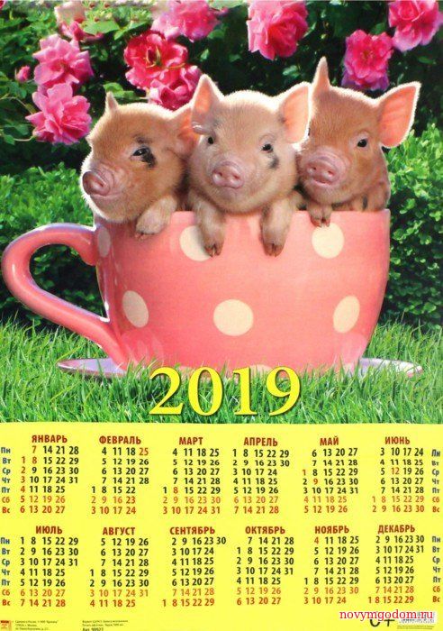 Календарь на 2019 год Новогодний календарь