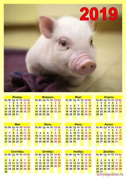 Календарь с поросенком 2019 Новогодний календарь