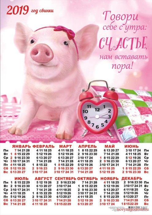 Календарик 2019 со свиньей Новогодний календарь