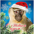 Новогодняя обезьяна аватар Картинки с символом