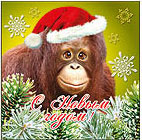 Новогодний аватар с обезьяной Картинки с символом