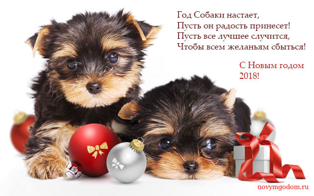 Картинка на Новый год собаки С годом собаки