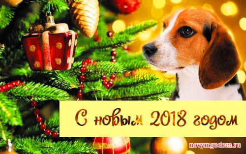 Новый собачий год картинки С годом собаки