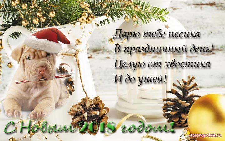 Дарю тебе пёсика на Новы год 2018 С годом собаки