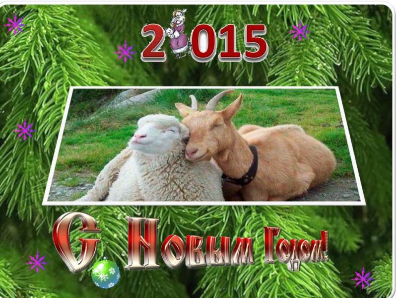 Коза и овца 2015 Год козы овцы