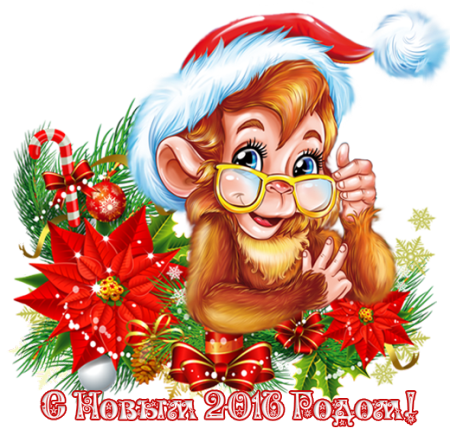 Красивая картинка обезьяна в очках С Новым годом Год Обезьяны