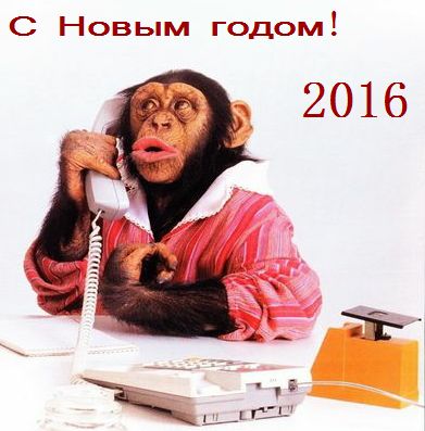 Картинки с новым годом 2016 год обезьяны Год Обезьяны