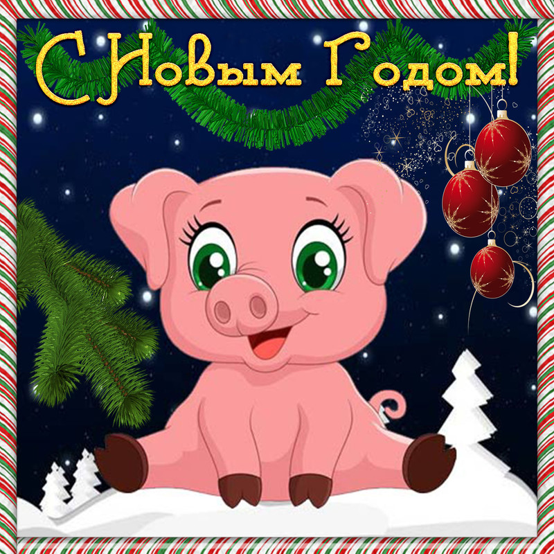Красивая открытка со свинкой на Новый год Год Свиньи