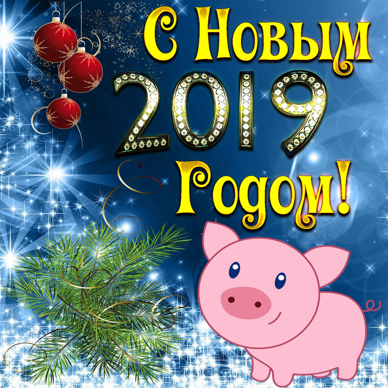 Красивая открытка с годом свиньи Год Свиньи