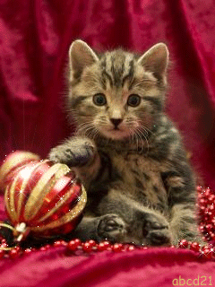Котёнок с елочной игрушкой анимация Новогодние заставки